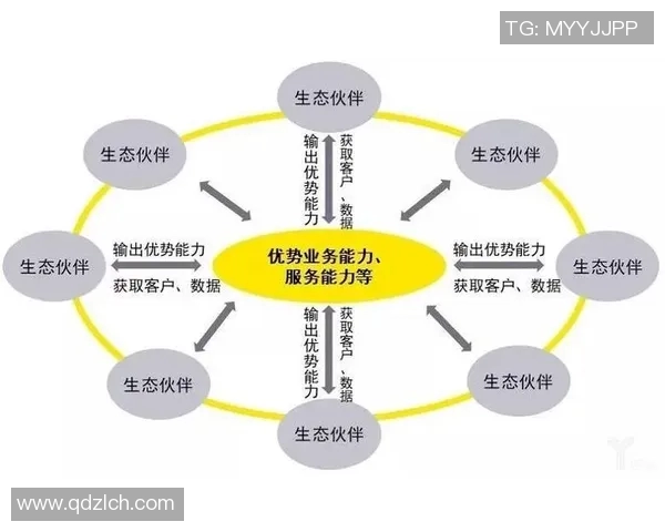 北京足球队的转型之路：从传统强队到现代化足球俱乐部的蜕变与挑战